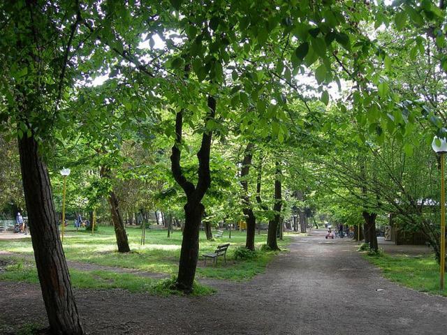 Villa Grazia Viareggio Esterno foto